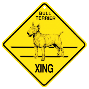 y݌ɌzXing{[hyueAzG݁@ObY@AG݁@EFJ{[h