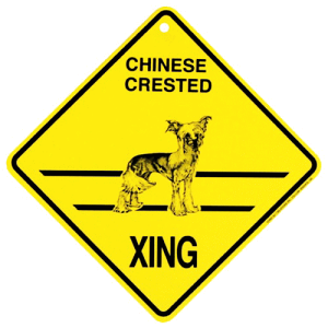 y݌ɌzXing{[hy`Cj[YNXebhhbO/`CNzG݁@ObY@AG݁@EFJ{[h