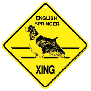 y݌ɌzXing{[hyCObVXvK[zG݁@ObY@AG݁@EFJ{[h