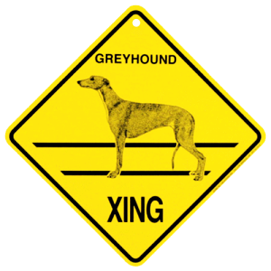 y݌ɌzXing{[hyO[nEhzG݁@ObY@AG݁@EFJ{[h