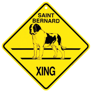 y݌ɌzXing{[hyZgo[i[hzG݁@ObY@AG݁@EFJ{[h