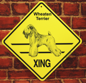 y݌ɌzXing{[hyEB[gEeAzG݁@ObY@AG݁@EFJ{[h