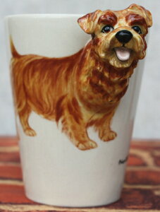 ݌Ɍ@hbOCOLLECTIBULE@Z~bN}Oym[tH[NEeAzObYEG