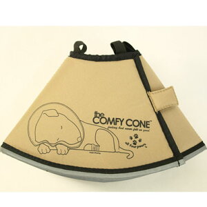 THE COMFY CONEiRtB[R[j@LTCY@^ix[Wnj