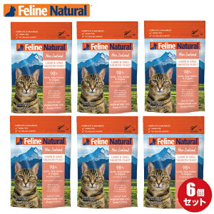 tB[Ci` v~ApE` LOT[tB[Xg 85g×6܁i100i` Lph{H EGbgt[hjK9i`K̔i@FelineNatural