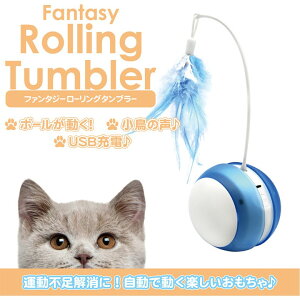 t@^W[[O^u[@u[iLp^dL炵^̖j