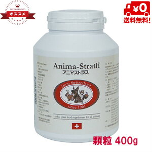 y񂹕izy{r[GtzAj}XgX 400gipj@LybgpTvgyz