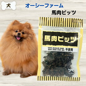 犬 無添加 おやつ オーシーファーム 馬肉ビッツ 45g アレルギー ダイエット