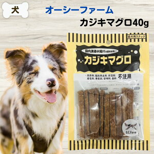 yő11OFFz  Y I[V[t@[ JWL}O 40g Y  L 