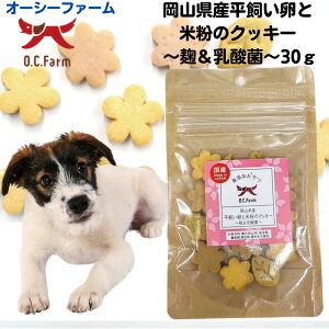 yő11OFFz  Y I[V[t@[ RYƕĕ̃NbL[ _ 30g