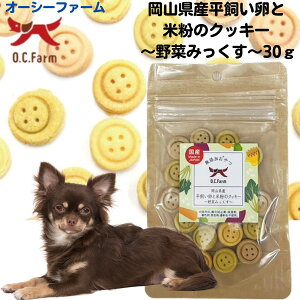 yő11OFFz  Y I[V[t@[ RYƕĕ̃NbL[ ؂݂ 30g