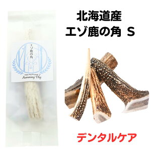 【最大11%OFF】犬 デンタル 犬 デンタルケア 北海道産 HDエゾ鹿の角 S送料無料 天然 犬 ハミガキ 犬 歯磨き クリックポスト 日時指定不可