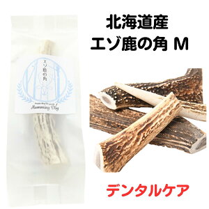 yő11OFFz  f^  f^  f^PA kCY HDG]̊p MVR  n~KL  