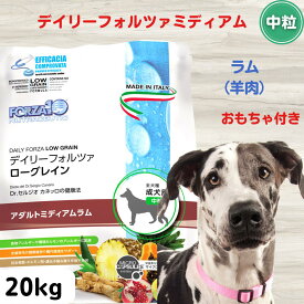 デイリーフォルツァ ミディアム ラム（中粒）20kg おもちゃ付き 正規品 犬 無添加 ドッグフード アレルギー対応 皮膚