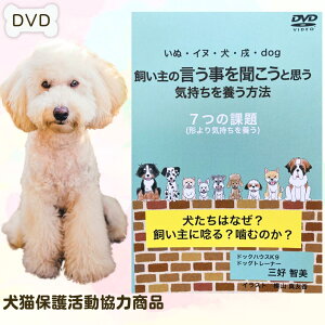 yő11OFFz ݕ  gC Ê ̌𕷂ƋC{@ [7̉ۑ[ ͂ȂHɚX ނ̂@̂ hbOg[jO hbOX