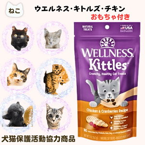 yő11OFFzyLی슈͏izL AH  \h  EFlX LgY `L Nx[ 56g IŃv[g@