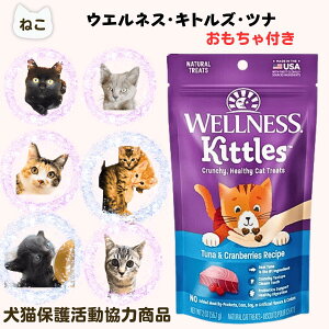 yő11OFFzyLی슈͏izL AH  \h  EFlX LgY ci Nx[ 56g IŃv[g@