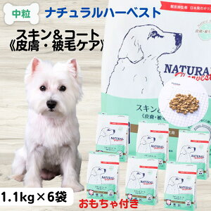 yő11OFFzi`n[xXg NATURAL Harvest XLR[gs畆EуPAt 1.1kg×6 c   畆 Ö@H сA畆 Ö@H