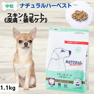 yő11OFFzi`n[xXg NATURAL Harvest XLR[gs畆EуPAt 1.1kg×1 c   畆 Ö@H сA畆 Ö@H