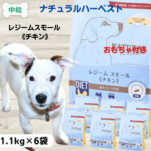 yő11OFFzi`n[xXgW[X[ hbOt[h Y 얞  Y hbOt[h  i`n[xXg W[ X[ `L 1.1g×6 _CGbg 