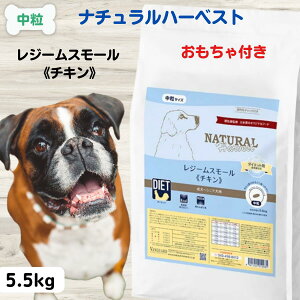 yő11OFFzi`n[xXgW[X[ `L  HÖ@H _CGbg i` n[xXg Zs[eBbNtH[~ W[ X[ 5.5kg×1 _CGbg 