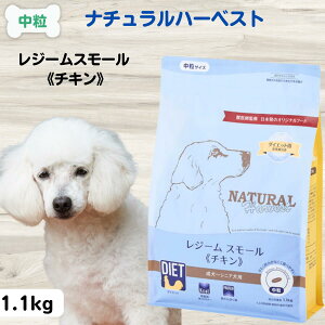 yő11OFFzi`n[xXgW[X[ hbOt[h Y 얞  Y hbOt[h _CGbg i`n[xXg W[X[ `L 1.1kg _CGbg NA