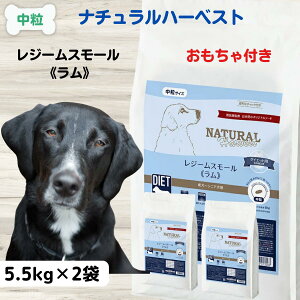 yő11OFFzi`n[xXgW[X[ hbOt[h Y 얞  Y hbOt[h _CGbg i`n[xXg W[X[  5.5kg×2 _CGbg 