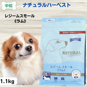 yő11OFFzi`n[xXgW[X[ hbOt[h Y 얞  Y hbOt[h _CGbg i`n[xXg W[X[  1.1kg _CGbg NATUR