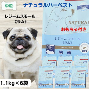 yő11OFFzi`n[xXgW[X[ hbOt[h Y 얞  Y hbOt[h _CGbg i`n[xXg W[X[  1.1kg×6 _CGbg 