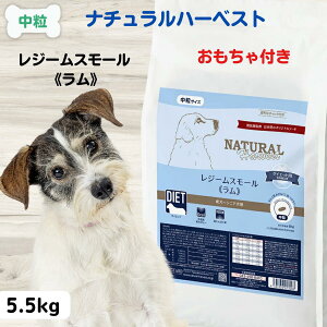 yő11OFFzi`n[xXgW[X[ hbOt[h Y 얞  Y hbOt[h _CGbg i`n[xXg W[X[  5.5kg _CGbg NATUR