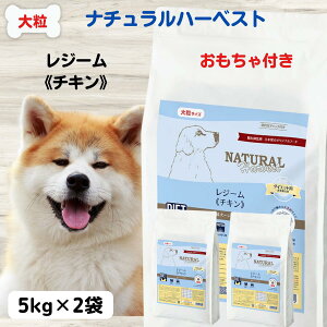 yő11OFFzi`n[xXg hbOt[h ^ ^ VjA hbOt[h  HÖ@H _CGbg  i`n[xXg W[ `L 5kg×2 嗱  NATURAL Ha