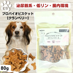 yő11OFFz A  \h  Nx[ XgoCg\h  Y Agu \h Li_ A \h Nx[ Ɖu@\ ڂ̌N i`n[xXg voCIr