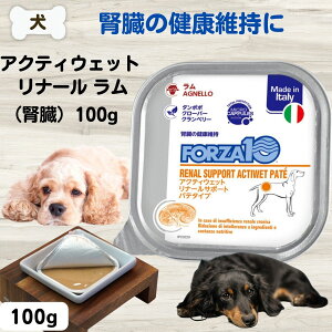 yő11OFFztHc@10 Ö@H FORZA10 i[ ANeBEFbg t 100g hbOt[h tHc@ fBG`