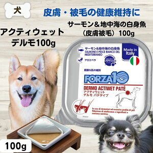 yő10OFFztHc@10 Ö@H FORZA10 f ANeBEFbg 畆 100g hbOt[h tHc@ fBG`