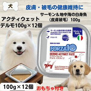 �t�H���c�@10 �Ö@�H FORZA10 �f���� �A�N�e�B�E�F�b�g �畆 1�P�[�X100g×12�� �h�b�O�t�[�h
