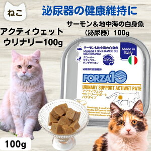 yő10OFFzL AH\h t[h tHc@10 Ö@H FORZA10 ANeBEFbg Ei[T[nC̔giAj100g@Lbgt[h tHc@ fBG`