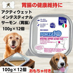 【最大11%OFF】胃腸ケア療法食 フォルツァ10 フォルツァ ディエチ 療法食 FORZA10 アクティウェット インテスティナル サーモン(胃腸)100g×12個