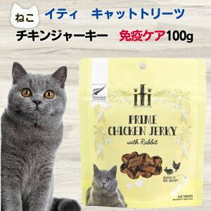 yő11OFFzL Y  Tvg CeB@g[c@`LW[L[@ƉuPA@100g