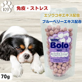 犬 無添加 おやつ 小麦 卵黄 一切不使用 イミューン ナチュラル ヤミーボーロ ブルーベリー 目の健康 子犬 高齢犬 パピー シニア エゾウコギエキス 自然治癒力 免疫力 ストレス緩和 肌トラブル緩和
