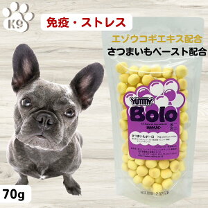  Y    ؕsgp C~[ i` ~[{[ ܂ q  ps[ VjA G]ERMGLX R Ɖu XgXɘa guɘa