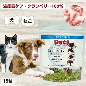 yő11OFFz L Y Tvg Nx[100 15 AȞN A\h Nx[