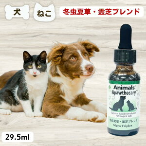 yő11OFFz Ɖu Y Tvg Aj}YApXL[ ~đEŃuh 29.5ml