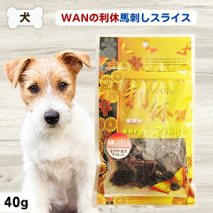  Y  WAN̗x ̗x nhXCX 40g 