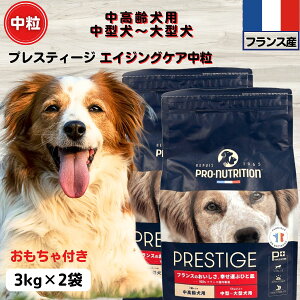 yő11OFFzhbOt[h Y vXeB[W Ki GCWOPAp 3kg×2 tXY p ^`^phbOt[h Y vXe[Wdog