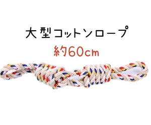 yő11OFFz  [v ^ ^ 60cm f^ Rbg  n~KL ނ XgXU