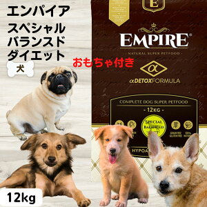 yő13OFFzGpCA  GpCA hbOt[h h[ic^  Y t XyVoXh_CGbg 12kg