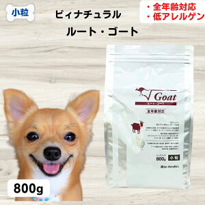 yő11OFFzrBi`[gES[g  HaÖ@H hbOt[h Y r[i` [gV[Y [gES[g  800g lHYؕsgp S S ׂĂ