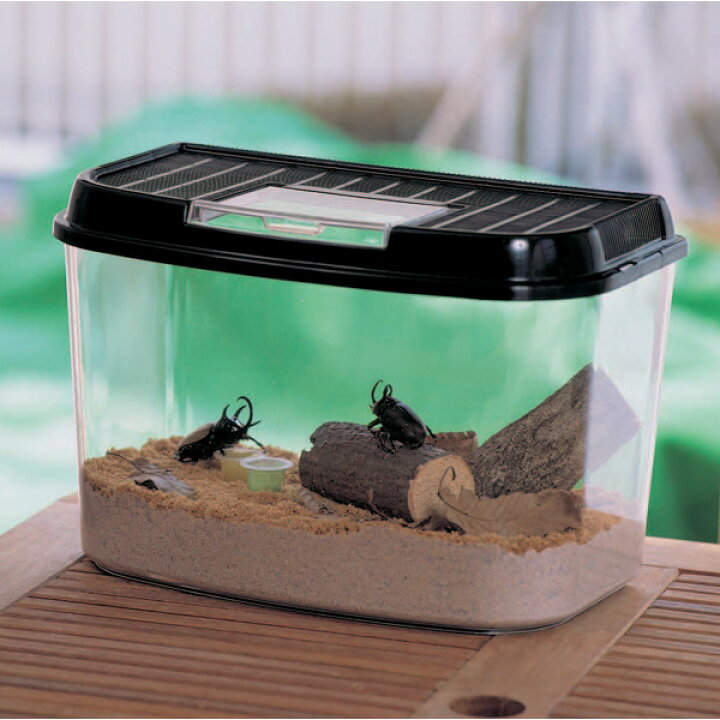 楽天市場 飼育ランド Cy L パールブルー ブラック 虫かご むしかご 虫籠 虫入れ カブトムシ クワガタ 昆虫採取 夏休み 自由研究 飼育観察 アイリスオーヤマ Pet館 ペット館 楽天 Pet館 ペット館