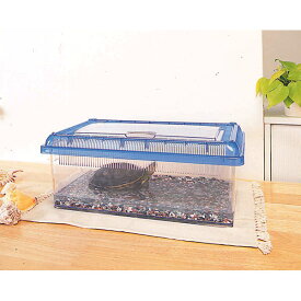 楽天市場 クワガタ 飼育ケースの通販