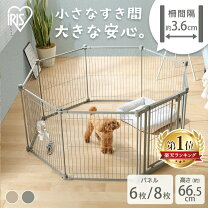 巨大なヒキガエルの事故や怪我 爬虫類ブレイク